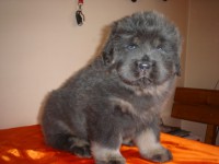 /album/anny/anny-5900-g-jpg/